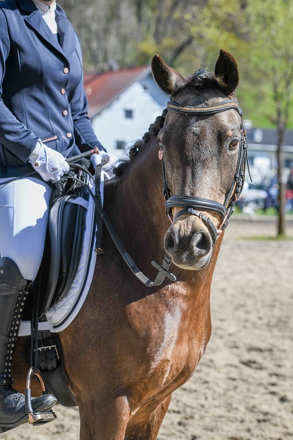 有鮮明的時 有鮮明的時