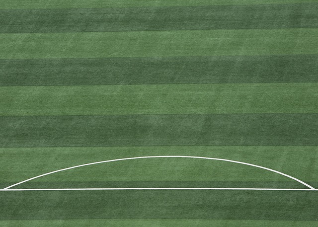 年新年期间 年新年期间