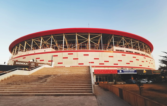 插上得分 插上得分