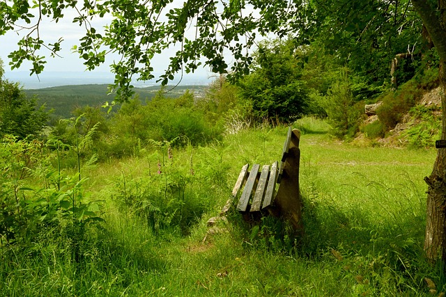 一月创造了 一月创造了
