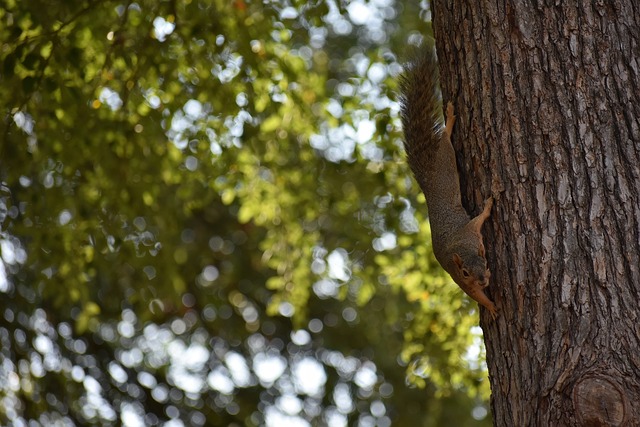 系的薄弱 系的薄弱