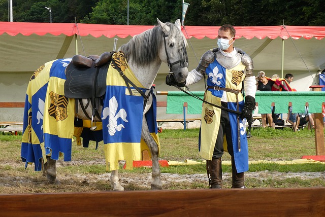 两次击败阿 两次击败阿