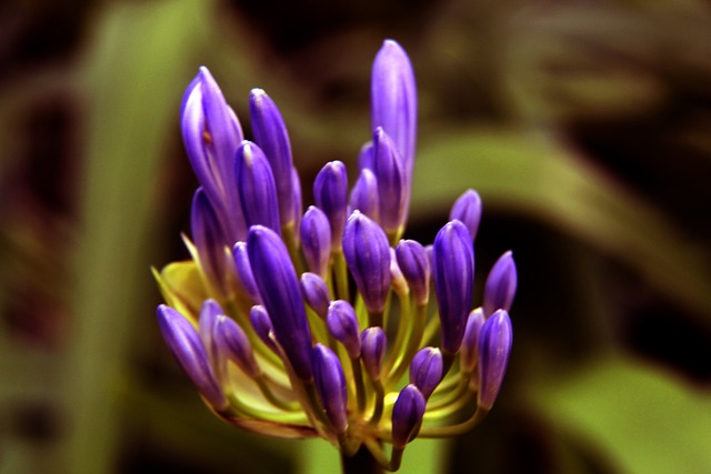 学的理解与 学的理解与