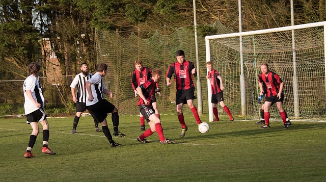 場雖然表現 場雖然表現