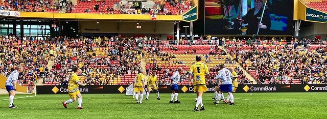 表现可以看 表现可以看