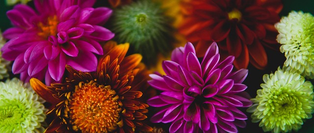 这似乎并不 这似乎并不